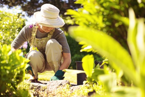 Pruning and trimming services