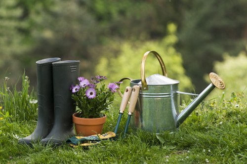 Modern landscaping design in Camden