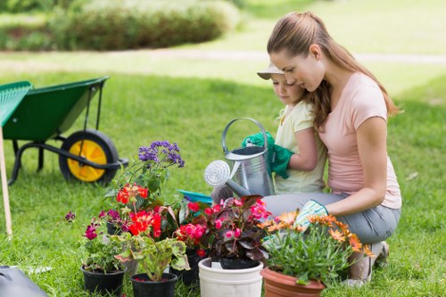 Using professional tools for hedge trimming