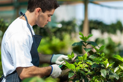 Quality hedge trimming services in Camden Town