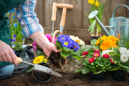 A person wearing a blue and white checkered shirt is planting a vibrant purple flower with yellow center into dark, rich soil in a garden. Nearby, a basket holds additional colourful blooming flowers, including yellow, white, and pink varieties. The garden scene features a wooden fence in the background, with visible gardening tools such as a small trowel and a watering can placed among the potted plants. To the right, a metal watering can with a handle and spout sits on a wooden surface next to a yellow daffodil in a glass container. The overall environment suggests a well-maintained outdoor garden space, with a focus on flower planting and garden care, reflecting professional gardening services that include flower beds and planting arrangements in Camden Town. The natural lighting indicates a bright day, ideal for outdoor gardening activities, with lush greenery and colourful blossoms enhancing the scene's natural appeal.