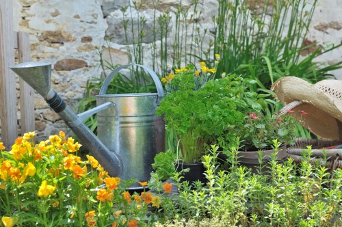Healthy green grass in Camden Town garden
