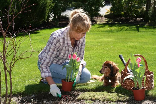 Eco-friendly pest management in Camden gardens